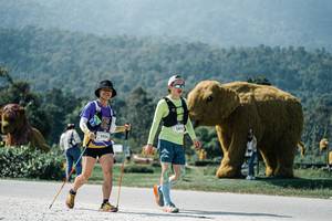 BIB: 
                            <button type="button" onclick="openModal(25970805)" class="btn btn-primary btn-sm float-right btn-popup" data-toggle="modal" data-target=".modal-high-quality">
                        <i class="fas fa-shopping-cart"></i> Add to Cart
                    </button>
                                            <button type="button" onclick="isThisMe(25970805, true)" class="btn btn-success btn-sm float-right btn-popup btn-isme hidden" data-toggle="tooltip" data-placement="bottom" title="นี่คือรูปของคุณใช่ไหม คลิกที่นี่เพื่อเอาเข้าอัลบั้ม">
                        <i class="fas fa-plus"></i> Add to album
                    </button>
                    <button type="button" onclick="isThisMe(25970805, false)" class="btn btn-warning btn-sm float-right btn-popup btn-isnotme hidden">
                        <i class="fas fa-ban"></i> Remove from album
                    </button>