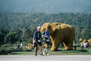 BIB: 
                            <button type="button" onclick="openModal(25883629)" class="btn btn-primary btn-sm float-right btn-popup" data-toggle="modal" data-target=".modal-high-quality">
                        <i class="fas fa-shopping-cart"></i> Add to Cart
                    </button>
                                            <button type="button" onclick="isThisMe(25883629, true)" class="btn btn-success btn-sm float-right btn-popup btn-isme hidden" data-toggle="tooltip" data-placement="bottom" title="นี่คือรูปของคุณใช่ไหม คลิกที่นี่เพื่อเอาเข้าอัลบั้ม">
                        <i class="fas fa-plus"></i> Add to album
                    </button>
                    <button type="button" onclick="isThisMe(25883629, false)" class="btn btn-warning btn-sm float-right btn-popup btn-isnotme hidden">
                        <i class="fas fa-ban"></i> Remove from album
                    </button>