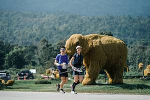 BIB: 
                            <button type="button" onclick="openModal(25942334)" class="btn btn-primary btn-sm float-right btn-popup" data-toggle="modal" data-target=".modal-high-quality">
                        <i class="fas fa-shopping-cart"></i> Add to Cart
                    </button>
                                            <button type="button" onclick="isThisMe(25942334, true)" class="btn btn-success btn-sm float-right btn-popup btn-isme hidden" data-toggle="tooltip" data-placement="bottom" title="นี่คือรูปของคุณใช่ไหม คลิกที่นี่เพื่อเอาเข้าอัลบั้ม">
                        <i class="fas fa-plus"></i> Add to album
                    </button>
                    <button type="button" onclick="isThisMe(25942334, false)" class="btn btn-warning btn-sm float-right btn-popup btn-isnotme hidden">
                        <i class="fas fa-ban"></i> Remove from album
                    </button>