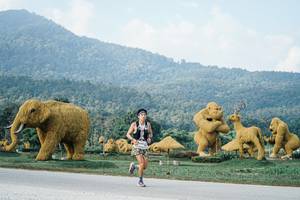 BIB: 
                            <button type="button" onclick="openModal(25869806)" class="btn btn-primary btn-sm float-right btn-popup" data-toggle="modal" data-target=".modal-high-quality">
                        <i class="fas fa-shopping-cart"></i> Add to Cart
                    </button>
                                            <button type="button" onclick="isThisMe(25869806, true)" class="btn btn-success btn-sm float-right btn-popup btn-isme hidden" data-toggle="tooltip" data-placement="bottom" title="นี่คือรูปของคุณใช่ไหม คลิกที่นี่เพื่อเอาเข้าอัลบั้ม">
                        <i class="fas fa-plus"></i> Add to album
                    </button>
                    <button type="button" onclick="isThisMe(25869806, false)" class="btn btn-warning btn-sm float-right btn-popup btn-isnotme hidden">
                        <i class="fas fa-ban"></i> Remove from album
                    </button>