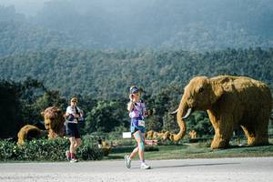 BIB: 
                            <button type="button" onclick="openModal(25884838)" class="btn btn-primary btn-sm float-right btn-popup" data-toggle="modal" data-target=".modal-high-quality">
                        <i class="fas fa-shopping-cart"></i> Add to Cart
                    </button>
                                            <button type="button" onclick="isThisMe(25884838, true)" class="btn btn-success btn-sm float-right btn-popup btn-isme hidden" data-toggle="tooltip" data-placement="bottom" title="นี่คือรูปของคุณใช่ไหม คลิกที่นี่เพื่อเอาเข้าอัลบั้ม">
                        <i class="fas fa-plus"></i> Add to album
                    </button>
                    <button type="button" onclick="isThisMe(25884838, false)" class="btn btn-warning btn-sm float-right btn-popup btn-isnotme hidden">
                        <i class="fas fa-ban"></i> Remove from album
                    </button>