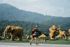 BIB: 
                            <button type="button" onclick="openModal(25871764)" class="btn btn-primary btn-sm float-right btn-popup" data-toggle="modal" data-target=".modal-high-quality">
                        <i class="fas fa-shopping-cart"></i> Add to Cart
                    </button>
                                            <button type="button" onclick="isThisMe(25871764, true)" class="btn btn-success btn-sm float-right btn-popup btn-isme hidden" data-toggle="tooltip" data-placement="bottom" title="นี่คือรูปของคุณใช่ไหม คลิกที่นี่เพื่อเอาเข้าอัลบั้ม">
                        <i class="fas fa-plus"></i> Add to album
                    </button>
                    <button type="button" onclick="isThisMe(25871764, false)" class="btn btn-warning btn-sm float-right btn-popup btn-isnotme hidden">
                        <i class="fas fa-ban"></i> Remove from album
                    </button>