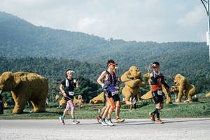 BIB: 
                            <button type="button" onclick="openModal(25882797)" class="btn btn-primary btn-sm float-right btn-popup" data-toggle="modal" data-target=".modal-high-quality">
                        <i class="fas fa-shopping-cart"></i> Add to Cart
                    </button>
                                            <button type="button" onclick="isThisMe(25882797, true)" class="btn btn-success btn-sm float-right btn-popup btn-isme hidden" data-toggle="tooltip" data-placement="bottom" title="นี่คือรูปของคุณใช่ไหม คลิกที่นี่เพื่อเอาเข้าอัลบั้ม">
                        <i class="fas fa-plus"></i> Add to album
                    </button>
                    <button type="button" onclick="isThisMe(25882797, false)" class="btn btn-warning btn-sm float-right btn-popup btn-isnotme hidden">
                        <i class="fas fa-ban"></i> Remove from album
                    </button>