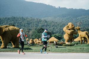 BIB: 
                            <button type="button" onclick="openModal(25919998)" class="btn btn-primary btn-sm float-right btn-popup" data-toggle="modal" data-target=".modal-high-quality">
                        <i class="fas fa-shopping-cart"></i> Add to Cart
                    </button>
                                            <button type="button" onclick="isThisMe(25919998, true)" class="btn btn-success btn-sm float-right btn-popup btn-isme hidden" data-toggle="tooltip" data-placement="bottom" title="นี่คือรูปของคุณใช่ไหม คลิกที่นี่เพื่อเอาเข้าอัลบั้ม">
                        <i class="fas fa-plus"></i> Add to album
                    </button>
                    <button type="button" onclick="isThisMe(25919998, false)" class="btn btn-warning btn-sm float-right btn-popup btn-isnotme hidden">
                        <i class="fas fa-ban"></i> Remove from album
                    </button>