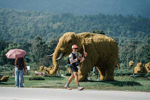 BIB: 
                            <button type="button" onclick="openModal(25947244)" class="btn btn-primary btn-sm float-right btn-popup" data-toggle="modal" data-target=".modal-high-quality">
                        <i class="fas fa-shopping-cart"></i> Add to Cart
                    </button>
                                            <button type="button" onclick="isThisMe(25947244, true)" class="btn btn-success btn-sm float-right btn-popup btn-isme hidden" data-toggle="tooltip" data-placement="bottom" title="นี่คือรูปของคุณใช่ไหม คลิกที่นี่เพื่อเอาเข้าอัลบั้ม">
                        <i class="fas fa-plus"></i> Add to album
                    </button>
                    <button type="button" onclick="isThisMe(25947244, false)" class="btn btn-warning btn-sm float-right btn-popup btn-isnotme hidden">
                        <i class="fas fa-ban"></i> Remove from album
                    </button>