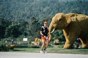 BIB: 
                            <button type="button" onclick="openModal(25891844)" class="btn btn-primary btn-sm float-right btn-popup" data-toggle="modal" data-target=".modal-high-quality">
                        <i class="fas fa-shopping-cart"></i> Add to Cart
                    </button>
                                            <button type="button" onclick="isThisMe(25891844, true)" class="btn btn-success btn-sm float-right btn-popup btn-isme hidden" data-toggle="tooltip" data-placement="bottom" title="นี่คือรูปของคุณใช่ไหม คลิกที่นี่เพื่อเอาเข้าอัลบั้ม">
                        <i class="fas fa-plus"></i> Add to album
                    </button>
                    <button type="button" onclick="isThisMe(25891844, false)" class="btn btn-warning btn-sm float-right btn-popup btn-isnotme hidden">
                        <i class="fas fa-ban"></i> Remove from album
                    </button>