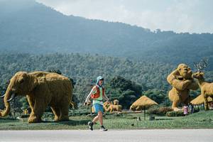 BIB: 
                            <button type="button" onclick="openModal(25956060)" class="btn btn-primary btn-sm float-right btn-popup" data-toggle="modal" data-target=".modal-high-quality">
                        <i class="fas fa-shopping-cart"></i> Add to Cart
                    </button>
                                            <button type="button" onclick="isThisMe(25956060, true)" class="btn btn-success btn-sm float-right btn-popup btn-isme hidden" data-toggle="tooltip" data-placement="bottom" title="นี่คือรูปของคุณใช่ไหม คลิกที่นี่เพื่อเอาเข้าอัลบั้ม">
                        <i class="fas fa-plus"></i> Add to album
                    </button>
                    <button type="button" onclick="isThisMe(25956060, false)" class="btn btn-warning btn-sm float-right btn-popup btn-isnotme hidden">
                        <i class="fas fa-ban"></i> Remove from album
                    </button>