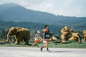 BIB: 
                            <button type="button" onclick="openModal(25946361)" class="btn btn-primary btn-sm float-right btn-popup" data-toggle="modal" data-target=".modal-high-quality">
                        <i class="fas fa-shopping-cart"></i> Add to Cart
                    </button>
                                            <button type="button" onclick="isThisMe(25946361, true)" class="btn btn-success btn-sm float-right btn-popup btn-isme hidden" data-toggle="tooltip" data-placement="bottom" title="นี่คือรูปของคุณใช่ไหม คลิกที่นี่เพื่อเอาเข้าอัลบั้ม">
                        <i class="fas fa-plus"></i> Add to album
                    </button>
                    <button type="button" onclick="isThisMe(25946361, false)" class="btn btn-warning btn-sm float-right btn-popup btn-isnotme hidden">
                        <i class="fas fa-ban"></i> Remove from album
                    </button>