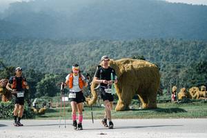 BIB: 
                            <button type="button" onclick="openModal(25927940)" class="btn btn-primary btn-sm float-right btn-popup" data-toggle="modal" data-target=".modal-high-quality">
                        <i class="fas fa-shopping-cart"></i> Add to Cart
                    </button>
                                            <button type="button" onclick="isThisMe(25927940, true)" class="btn btn-success btn-sm float-right btn-popup btn-isme hidden" data-toggle="tooltip" data-placement="bottom" title="นี่คือรูปของคุณใช่ไหม คลิกที่นี่เพื่อเอาเข้าอัลบั้ม">
                        <i class="fas fa-plus"></i> Add to album
                    </button>
                    <button type="button" onclick="isThisMe(25927940, false)" class="btn btn-warning btn-sm float-right btn-popup btn-isnotme hidden">
                        <i class="fas fa-ban"></i> Remove from album
                    </button>