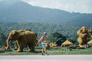 BIB: 
                            <button type="button" onclick="openModal(25956047)" class="btn btn-primary btn-sm float-right btn-popup" data-toggle="modal" data-target=".modal-high-quality">
                        <i class="fas fa-shopping-cart"></i> Add to Cart
                    </button>
                                            <button type="button" onclick="isThisMe(25956047, true)" class="btn btn-success btn-sm float-right btn-popup btn-isme hidden" data-toggle="tooltip" data-placement="bottom" title="นี่คือรูปของคุณใช่ไหม คลิกที่นี่เพื่อเอาเข้าอัลบั้ม">
                        <i class="fas fa-plus"></i> Add to album
                    </button>
                    <button type="button" onclick="isThisMe(25956047, false)" class="btn btn-warning btn-sm float-right btn-popup btn-isnotme hidden">
                        <i class="fas fa-ban"></i> Remove from album
                    </button>