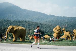 BIB: 
                            <button type="button" onclick="openModal(25884637)" class="btn btn-primary btn-sm float-right btn-popup" data-toggle="modal" data-target=".modal-high-quality">
                        <i class="fas fa-shopping-cart"></i> Add to Cart
                    </button>
                                            <button type="button" onclick="isThisMe(25884637, true)" class="btn btn-success btn-sm float-right btn-popup btn-isme hidden" data-toggle="tooltip" data-placement="bottom" title="นี่คือรูปของคุณใช่ไหม คลิกที่นี่เพื่อเอาเข้าอัลบั้ม">
                        <i class="fas fa-plus"></i> Add to album
                    </button>
                    <button type="button" onclick="isThisMe(25884637, false)" class="btn btn-warning btn-sm float-right btn-popup btn-isnotme hidden">
                        <i class="fas fa-ban"></i> Remove from album
                    </button>