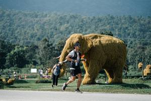 BIB: 
                            <button type="button" onclick="openModal(25923799)" class="btn btn-primary btn-sm float-right btn-popup" data-toggle="modal" data-target=".modal-high-quality">
                        <i class="fas fa-shopping-cart"></i> Add to Cart
                    </button>
                                            <button type="button" onclick="isThisMe(25923799, true)" class="btn btn-success btn-sm float-right btn-popup btn-isme hidden" data-toggle="tooltip" data-placement="bottom" title="นี่คือรูปของคุณใช่ไหม คลิกที่นี่เพื่อเอาเข้าอัลบั้ม">
                        <i class="fas fa-plus"></i> Add to album
                    </button>
                    <button type="button" onclick="isThisMe(25923799, false)" class="btn btn-warning btn-sm float-right btn-popup btn-isnotme hidden">
                        <i class="fas fa-ban"></i> Remove from album
                    </button>