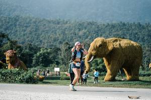 BIB: 
                            <button type="button" onclick="openModal(25890757)" class="btn btn-primary btn-sm float-right btn-popup" data-toggle="modal" data-target=".modal-high-quality">
                        <i class="fas fa-shopping-cart"></i> Add to Cart
                    </button>
                                            <button type="button" onclick="isThisMe(25890757, true)" class="btn btn-success btn-sm float-right btn-popup btn-isme hidden" data-toggle="tooltip" data-placement="bottom" title="นี่คือรูปของคุณใช่ไหม คลิกที่นี่เพื่อเอาเข้าอัลบั้ม">
                        <i class="fas fa-plus"></i> Add to album
                    </button>
                    <button type="button" onclick="isThisMe(25890757, false)" class="btn btn-warning btn-sm float-right btn-popup btn-isnotme hidden">
                        <i class="fas fa-ban"></i> Remove from album
                    </button>