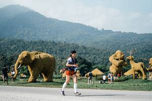 BIB: 
                            <button type="button" onclick="openModal(25884630)" class="btn btn-primary btn-sm float-right btn-popup" data-toggle="modal" data-target=".modal-high-quality">
                        <i class="fas fa-shopping-cart"></i> Add to Cart
                    </button>
                                            <button type="button" onclick="isThisMe(25884630, true)" class="btn btn-success btn-sm float-right btn-popup btn-isme hidden" data-toggle="tooltip" data-placement="bottom" title="นี่คือรูปของคุณใช่ไหม คลิกที่นี่เพื่อเอาเข้าอัลบั้ม">
                        <i class="fas fa-plus"></i> Add to album
                    </button>
                    <button type="button" onclick="isThisMe(25884630, false)" class="btn btn-warning btn-sm float-right btn-popup btn-isnotme hidden">
                        <i class="fas fa-ban"></i> Remove from album
                    </button>