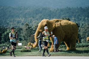 BIB: 
                            <button type="button" onclick="openModal(25940476)" class="btn btn-primary btn-sm float-right btn-popup" data-toggle="modal" data-target=".modal-high-quality">
                        <i class="fas fa-shopping-cart"></i> Add to Cart
                    </button>
                                            <button type="button" onclick="isThisMe(25940476, true)" class="btn btn-success btn-sm float-right btn-popup btn-isme hidden" data-toggle="tooltip" data-placement="bottom" title="นี่คือรูปของคุณใช่ไหม คลิกที่นี่เพื่อเอาเข้าอัลบั้ม">
                        <i class="fas fa-plus"></i> Add to album
                    </button>
                    <button type="button" onclick="isThisMe(25940476, false)" class="btn btn-warning btn-sm float-right btn-popup btn-isnotme hidden">
                        <i class="fas fa-ban"></i> Remove from album
                    </button>