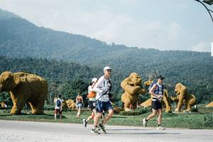 BIB: 
                            <button type="button" onclick="openModal(25884409)" class="btn btn-primary btn-sm float-right btn-popup" data-toggle="modal" data-target=".modal-high-quality">
                        <i class="fas fa-shopping-cart"></i> Add to Cart
                    </button>
                                            <button type="button" onclick="isThisMe(25884409, true)" class="btn btn-success btn-sm float-right btn-popup btn-isme hidden" data-toggle="tooltip" data-placement="bottom" title="นี่คือรูปของคุณใช่ไหม คลิกที่นี่เพื่อเอาเข้าอัลบั้ม">
                        <i class="fas fa-plus"></i> Add to album
                    </button>
                    <button type="button" onclick="isThisMe(25884409, false)" class="btn btn-warning btn-sm float-right btn-popup btn-isnotme hidden">
                        <i class="fas fa-ban"></i> Remove from album
                    </button>