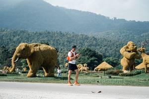 BIB: 
                            <button type="button" onclick="openModal(25914701)" class="btn btn-primary btn-sm float-right btn-popup" data-toggle="modal" data-target=".modal-high-quality">
                        <i class="fas fa-shopping-cart"></i> Add to Cart
                    </button>
                                            <button type="button" onclick="isThisMe(25914701, true)" class="btn btn-success btn-sm float-right btn-popup btn-isme hidden" data-toggle="tooltip" data-placement="bottom" title="นี่คือรูปของคุณใช่ไหม คลิกที่นี่เพื่อเอาเข้าอัลบั้ม">
                        <i class="fas fa-plus"></i> Add to album
                    </button>
                    <button type="button" onclick="isThisMe(25914701, false)" class="btn btn-warning btn-sm float-right btn-popup btn-isnotme hidden">
                        <i class="fas fa-ban"></i> Remove from album
                    </button>