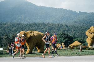 BIB: 
                            <button type="button" onclick="openModal(25882330)" class="btn btn-primary btn-sm float-right btn-popup" data-toggle="modal" data-target=".modal-high-quality">
                        <i class="fas fa-shopping-cart"></i> Add to Cart
                    </button>
                                            <button type="button" onclick="isThisMe(25882330, true)" class="btn btn-success btn-sm float-right btn-popup btn-isme hidden" data-toggle="tooltip" data-placement="bottom" title="นี่คือรูปของคุณใช่ไหม คลิกที่นี่เพื่อเอาเข้าอัลบั้ม">
                        <i class="fas fa-plus"></i> Add to album
                    </button>
                    <button type="button" onclick="isThisMe(25882330, false)" class="btn btn-warning btn-sm float-right btn-popup btn-isnotme hidden">
                        <i class="fas fa-ban"></i> Remove from album
                    </button>