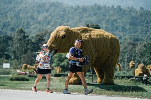 BIB: 
                            <button type="button" onclick="openModal(25975726)" class="btn btn-primary btn-sm float-right btn-popup" data-toggle="modal" data-target=".modal-high-quality">
                        <i class="fas fa-shopping-cart"></i> Add to Cart
                    </button>
                                            <button type="button" onclick="isThisMe(25975726, true)" class="btn btn-success btn-sm float-right btn-popup btn-isme hidden" data-toggle="tooltip" data-placement="bottom" title="นี่คือรูปของคุณใช่ไหม คลิกที่นี่เพื่อเอาเข้าอัลบั้ม">
                        <i class="fas fa-plus"></i> Add to album
                    </button>
                    <button type="button" onclick="isThisMe(25975726, false)" class="btn btn-warning btn-sm float-right btn-popup btn-isnotme hidden">
                        <i class="fas fa-ban"></i> Remove from album
                    </button>