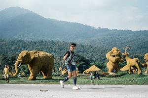 BIB: 
                            <button type="button" onclick="openModal(25893092)" class="btn btn-primary btn-sm float-right btn-popup" data-toggle="modal" data-target=".modal-high-quality">
                        <i class="fas fa-shopping-cart"></i> Add to Cart
                    </button>
                                            <button type="button" onclick="isThisMe(25893092, true)" class="btn btn-success btn-sm float-right btn-popup btn-isme hidden" data-toggle="tooltip" data-placement="bottom" title="นี่คือรูปของคุณใช่ไหม คลิกที่นี่เพื่อเอาเข้าอัลบั้ม">
                        <i class="fas fa-plus"></i> Add to album
                    </button>
                    <button type="button" onclick="isThisMe(25893092, false)" class="btn btn-warning btn-sm float-right btn-popup btn-isnotme hidden">
                        <i class="fas fa-ban"></i> Remove from album
                    </button>