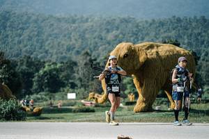 BIB: 
                            <button type="button" onclick="openModal(25905752)" class="btn btn-primary btn-sm float-right btn-popup" data-toggle="modal" data-target=".modal-high-quality">
                        <i class="fas fa-shopping-cart"></i> Add to Cart
                    </button>
                                            <button type="button" onclick="isThisMe(25905752, true)" class="btn btn-success btn-sm float-right btn-popup btn-isme hidden" data-toggle="tooltip" data-placement="bottom" title="นี่คือรูปของคุณใช่ไหม คลิกที่นี่เพื่อเอาเข้าอัลบั้ม">
                        <i class="fas fa-plus"></i> Add to album
                    </button>
                    <button type="button" onclick="isThisMe(25905752, false)" class="btn btn-warning btn-sm float-right btn-popup btn-isnotme hidden">
                        <i class="fas fa-ban"></i> Remove from album
                    </button>