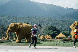 BIB: 
                            <button type="button" onclick="openModal(25950603)" class="btn btn-primary btn-sm float-right btn-popup" data-toggle="modal" data-target=".modal-high-quality">
                        <i class="fas fa-shopping-cart"></i> Add to Cart
                    </button>
                                            <button type="button" onclick="isThisMe(25950603, true)" class="btn btn-success btn-sm float-right btn-popup btn-isme hidden" data-toggle="tooltip" data-placement="bottom" title="นี่คือรูปของคุณใช่ไหม คลิกที่นี่เพื่อเอาเข้าอัลบั้ม">
                        <i class="fas fa-plus"></i> Add to album
                    </button>
                    <button type="button" onclick="isThisMe(25950603, false)" class="btn btn-warning btn-sm float-right btn-popup btn-isnotme hidden">
                        <i class="fas fa-ban"></i> Remove from album
                    </button>