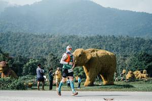 BIB: 
                            <button type="button" onclick="openModal(25890342)" class="btn btn-primary btn-sm float-right btn-popup" data-toggle="modal" data-target=".modal-high-quality">
                        <i class="fas fa-shopping-cart"></i> Add to Cart
                    </button>
                                            <button type="button" onclick="isThisMe(25890342, true)" class="btn btn-success btn-sm float-right btn-popup btn-isme hidden" data-toggle="tooltip" data-placement="bottom" title="นี่คือรูปของคุณใช่ไหม คลิกที่นี่เพื่อเอาเข้าอัลบั้ม">
                        <i class="fas fa-plus"></i> Add to album
                    </button>
                    <button type="button" onclick="isThisMe(25890342, false)" class="btn btn-warning btn-sm float-right btn-popup btn-isnotme hidden">
                        <i class="fas fa-ban"></i> Remove from album
                    </button>