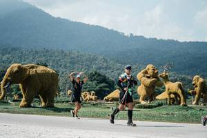 BIB: 
                            <button type="button" onclick="openModal(25954590)" class="btn btn-primary btn-sm float-right btn-popup" data-toggle="modal" data-target=".modal-high-quality">
                        <i class="fas fa-shopping-cart"></i> Add to Cart
                    </button>
                                            <button type="button" onclick="isThisMe(25954590, true)" class="btn btn-success btn-sm float-right btn-popup btn-isme hidden" data-toggle="tooltip" data-placement="bottom" title="นี่คือรูปของคุณใช่ไหม คลิกที่นี่เพื่อเอาเข้าอัลบั้ม">
                        <i class="fas fa-plus"></i> Add to album
                    </button>
                    <button type="button" onclick="isThisMe(25954590, false)" class="btn btn-warning btn-sm float-right btn-popup btn-isnotme hidden">
                        <i class="fas fa-ban"></i> Remove from album
                    </button>