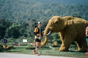 BIB: 
                            <button type="button" onclick="openModal(25933862)" class="btn btn-primary btn-sm float-right btn-popup" data-toggle="modal" data-target=".modal-high-quality">
                        <i class="fas fa-shopping-cart"></i> Add to Cart
                    </button>
                                            <button type="button" onclick="isThisMe(25933862, true)" class="btn btn-success btn-sm float-right btn-popup btn-isme hidden" data-toggle="tooltip" data-placement="bottom" title="นี่คือรูปของคุณใช่ไหม คลิกที่นี่เพื่อเอาเข้าอัลบั้ม">
                        <i class="fas fa-plus"></i> Add to album
                    </button>
                    <button type="button" onclick="isThisMe(25933862, false)" class="btn btn-warning btn-sm float-right btn-popup btn-isnotme hidden">
                        <i class="fas fa-ban"></i> Remove from album
                    </button>