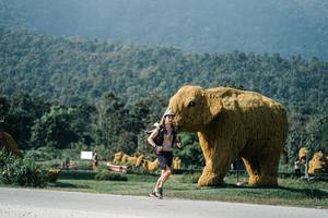 BIB: 
                            <button type="button" onclick="openModal(25887475)" class="btn btn-primary btn-sm float-right btn-popup" data-toggle="modal" data-target=".modal-high-quality">
                        <i class="fas fa-shopping-cart"></i> Add to Cart
                    </button>
                                            <button type="button" onclick="isThisMe(25887475, true)" class="btn btn-success btn-sm float-right btn-popup btn-isme hidden" data-toggle="tooltip" data-placement="bottom" title="นี่คือรูปของคุณใช่ไหม คลิกที่นี่เพื่อเอาเข้าอัลบั้ม">
                        <i class="fas fa-plus"></i> Add to album
                    </button>
                    <button type="button" onclick="isThisMe(25887475, false)" class="btn btn-warning btn-sm float-right btn-popup btn-isnotme hidden">
                        <i class="fas fa-ban"></i> Remove from album
                    </button>