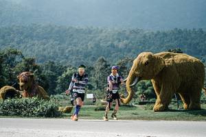 BIB: 
                            <button type="button" onclick="openModal(25965344)" class="btn btn-primary btn-sm float-right btn-popup" data-toggle="modal" data-target=".modal-high-quality">
                        <i class="fas fa-shopping-cart"></i> Add to Cart
                    </button>
                                            <button type="button" onclick="isThisMe(25965344, true)" class="btn btn-success btn-sm float-right btn-popup btn-isme hidden" data-toggle="tooltip" data-placement="bottom" title="นี่คือรูปของคุณใช่ไหม คลิกที่นี่เพื่อเอาเข้าอัลบั้ม">
                        <i class="fas fa-plus"></i> Add to album
                    </button>
                    <button type="button" onclick="isThisMe(25965344, false)" class="btn btn-warning btn-sm float-right btn-popup btn-isnotme hidden">
                        <i class="fas fa-ban"></i> Remove from album
                    </button>