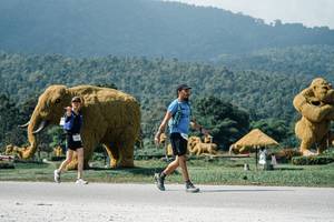 BIB: 
                            <button type="button" onclick="openModal(25931878)" class="btn btn-primary btn-sm float-right btn-popup" data-toggle="modal" data-target=".modal-high-quality">
                        <i class="fas fa-shopping-cart"></i> Add to Cart
                    </button>
                                            <button type="button" onclick="isThisMe(25931878, true)" class="btn btn-success btn-sm float-right btn-popup btn-isme hidden" data-toggle="tooltip" data-placement="bottom" title="นี่คือรูปของคุณใช่ไหม คลิกที่นี่เพื่อเอาเข้าอัลบั้ม">
                        <i class="fas fa-plus"></i> Add to album
                    </button>
                    <button type="button" onclick="isThisMe(25931878, false)" class="btn btn-warning btn-sm float-right btn-popup btn-isnotme hidden">
                        <i class="fas fa-ban"></i> Remove from album
                    </button>