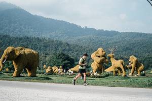 BIB: 
                            <button type="button" onclick="openModal(25875711)" class="btn btn-primary btn-sm float-right btn-popup" data-toggle="modal" data-target=".modal-high-quality">
                        <i class="fas fa-shopping-cart"></i> Add to Cart
                    </button>
                                            <button type="button" onclick="isThisMe(25875711, true)" class="btn btn-success btn-sm float-right btn-popup btn-isme hidden" data-toggle="tooltip" data-placement="bottom" title="นี่คือรูปของคุณใช่ไหม คลิกที่นี่เพื่อเอาเข้าอัลบั้ม">
                        <i class="fas fa-plus"></i> Add to album
                    </button>
                    <button type="button" onclick="isThisMe(25875711, false)" class="btn btn-warning btn-sm float-right btn-popup btn-isnotme hidden">
                        <i class="fas fa-ban"></i> Remove from album
                    </button>