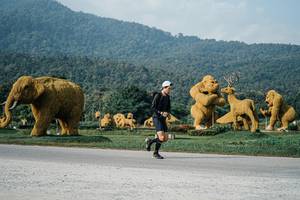 BIB: 
                            <button type="button" onclick="openModal(25870466)" class="btn btn-primary btn-sm float-right btn-popup" data-toggle="modal" data-target=".modal-high-quality">
                        <i class="fas fa-shopping-cart"></i> Add to Cart
                    </button>
                                            <button type="button" onclick="isThisMe(25870466, true)" class="btn btn-success btn-sm float-right btn-popup btn-isme hidden" data-toggle="tooltip" data-placement="bottom" title="นี่คือรูปของคุณใช่ไหม คลิกที่นี่เพื่อเอาเข้าอัลบั้ม">
                        <i class="fas fa-plus"></i> Add to album
                    </button>
                    <button type="button" onclick="isThisMe(25870466, false)" class="btn btn-warning btn-sm float-right btn-popup btn-isnotme hidden">
                        <i class="fas fa-ban"></i> Remove from album
                    </button>