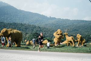 BIB: 
                            <button type="button" onclick="openModal(25884309)" class="btn btn-primary btn-sm float-right btn-popup" data-toggle="modal" data-target=".modal-high-quality">
                        <i class="fas fa-shopping-cart"></i> Add to Cart
                    </button>
                                            <button type="button" onclick="isThisMe(25884309, true)" class="btn btn-success btn-sm float-right btn-popup btn-isme hidden" data-toggle="tooltip" data-placement="bottom" title="นี่คือรูปของคุณใช่ไหม คลิกที่นี่เพื่อเอาเข้าอัลบั้ม">
                        <i class="fas fa-plus"></i> Add to album
                    </button>
                    <button type="button" onclick="isThisMe(25884309, false)" class="btn btn-warning btn-sm float-right btn-popup btn-isnotme hidden">
                        <i class="fas fa-ban"></i> Remove from album
                    </button>