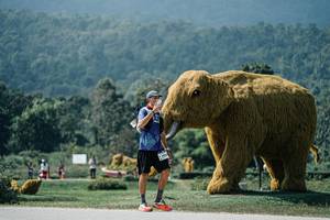 BIB: 
                            <button type="button" onclick="openModal(25965068)" class="btn btn-primary btn-sm float-right btn-popup" data-toggle="modal" data-target=".modal-high-quality">
                        <i class="fas fa-shopping-cart"></i> Add to Cart
                    </button>
                                            <button type="button" onclick="isThisMe(25965068, true)" class="btn btn-success btn-sm float-right btn-popup btn-isme hidden" data-toggle="tooltip" data-placement="bottom" title="นี่คือรูปของคุณใช่ไหม คลิกที่นี่เพื่อเอาเข้าอัลบั้ม">
                        <i class="fas fa-plus"></i> Add to album
                    </button>
                    <button type="button" onclick="isThisMe(25965068, false)" class="btn btn-warning btn-sm float-right btn-popup btn-isnotme hidden">
                        <i class="fas fa-ban"></i> Remove from album
                    </button>