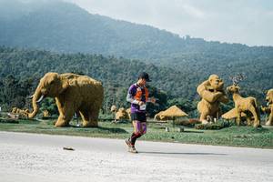 BIB: 
                            <button type="button" onclick="openModal(25901614)" class="btn btn-primary btn-sm float-right btn-popup" data-toggle="modal" data-target=".modal-high-quality">
                        <i class="fas fa-shopping-cart"></i> Add to Cart
                    </button>
                                            <button type="button" onclick="isThisMe(25901614, true)" class="btn btn-success btn-sm float-right btn-popup btn-isme hidden" data-toggle="tooltip" data-placement="bottom" title="นี่คือรูปของคุณใช่ไหม คลิกที่นี่เพื่อเอาเข้าอัลบั้ม">
                        <i class="fas fa-plus"></i> Add to album
                    </button>
                    <button type="button" onclick="isThisMe(25901614, false)" class="btn btn-warning btn-sm float-right btn-popup btn-isnotme hidden">
                        <i class="fas fa-ban"></i> Remove from album
                    </button>