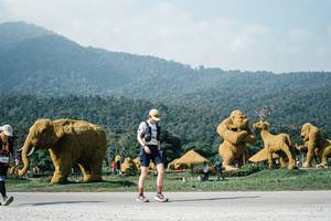 BIB: 
                            <button type="button" onclick="openModal(25884971)" class="btn btn-primary btn-sm float-right btn-popup" data-toggle="modal" data-target=".modal-high-quality">
                        <i class="fas fa-shopping-cart"></i> Add to Cart
                    </button>
                                            <button type="button" onclick="isThisMe(25884971, true)" class="btn btn-success btn-sm float-right btn-popup btn-isme hidden" data-toggle="tooltip" data-placement="bottom" title="นี่คือรูปของคุณใช่ไหม คลิกที่นี่เพื่อเอาเข้าอัลบั้ม">
                        <i class="fas fa-plus"></i> Add to album
                    </button>
                    <button type="button" onclick="isThisMe(25884971, false)" class="btn btn-warning btn-sm float-right btn-popup btn-isnotme hidden">
                        <i class="fas fa-ban"></i> Remove from album
                    </button>