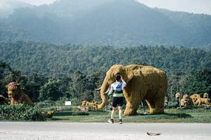 BIB: 
                            <button type="button" onclick="openModal(25894034)" class="btn btn-primary btn-sm float-right btn-popup" data-toggle="modal" data-target=".modal-high-quality">
                        <i class="fas fa-shopping-cart"></i> Add to Cart
                    </button>
                                            <button type="button" onclick="isThisMe(25894034, true)" class="btn btn-success btn-sm float-right btn-popup btn-isme hidden" data-toggle="tooltip" data-placement="bottom" title="นี่คือรูปของคุณใช่ไหม คลิกที่นี่เพื่อเอาเข้าอัลบั้ม">
                        <i class="fas fa-plus"></i> Add to album
                    </button>
                    <button type="button" onclick="isThisMe(25894034, false)" class="btn btn-warning btn-sm float-right btn-popup btn-isnotme hidden">
                        <i class="fas fa-ban"></i> Remove from album
                    </button>