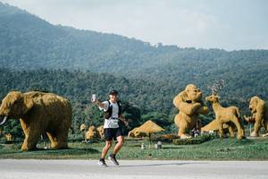 BIB: 
                            <button type="button" onclick="openModal(25872235)" class="btn btn-primary btn-sm float-right btn-popup" data-toggle="modal" data-target=".modal-high-quality">
                        <i class="fas fa-shopping-cart"></i> Add to Cart
                    </button>
                                            <button type="button" onclick="isThisMe(25872235, true)" class="btn btn-success btn-sm float-right btn-popup btn-isme hidden" data-toggle="tooltip" data-placement="bottom" title="นี่คือรูปของคุณใช่ไหม คลิกที่นี่เพื่อเอาเข้าอัลบั้ม">
                        <i class="fas fa-plus"></i> Add to album
                    </button>
                    <button type="button" onclick="isThisMe(25872235, false)" class="btn btn-warning btn-sm float-right btn-popup btn-isnotme hidden">
                        <i class="fas fa-ban"></i> Remove from album
                    </button>