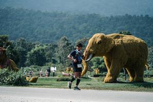 BIB: 
                            <button type="button" onclick="openModal(25963586)" class="btn btn-primary btn-sm float-right btn-popup" data-toggle="modal" data-target=".modal-high-quality">
                        <i class="fas fa-shopping-cart"></i> Add to Cart
                    </button>
                                            <button type="button" onclick="isThisMe(25963586, true)" class="btn btn-success btn-sm float-right btn-popup btn-isme hidden" data-toggle="tooltip" data-placement="bottom" title="นี่คือรูปของคุณใช่ไหม คลิกที่นี่เพื่อเอาเข้าอัลบั้ม">
                        <i class="fas fa-plus"></i> Add to album
                    </button>
                    <button type="button" onclick="isThisMe(25963586, false)" class="btn btn-warning btn-sm float-right btn-popup btn-isnotme hidden">
                        <i class="fas fa-ban"></i> Remove from album
                    </button>