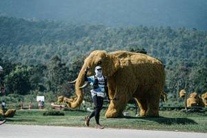 BIB: 
                            <button type="button" onclick="openModal(25944629)" class="btn btn-primary btn-sm float-right btn-popup" data-toggle="modal" data-target=".modal-high-quality">
                        <i class="fas fa-shopping-cart"></i> Add to Cart
                    </button>
                                            <button type="button" onclick="isThisMe(25944629, true)" class="btn btn-success btn-sm float-right btn-popup btn-isme hidden" data-toggle="tooltip" data-placement="bottom" title="นี่คือรูปของคุณใช่ไหม คลิกที่นี่เพื่อเอาเข้าอัลบั้ม">
                        <i class="fas fa-plus"></i> Add to album
                    </button>
                    <button type="button" onclick="isThisMe(25944629, false)" class="btn btn-warning btn-sm float-right btn-popup btn-isnotme hidden">
                        <i class="fas fa-ban"></i> Remove from album
                    </button>