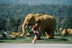 BIB: 
                            <button type="button" onclick="openModal(25877428)" class="btn btn-primary btn-sm float-right btn-popup" data-toggle="modal" data-target=".modal-high-quality">
                        <i class="fas fa-shopping-cart"></i> Add to Cart
                    </button>
                                            <button type="button" onclick="isThisMe(25877428, true)" class="btn btn-success btn-sm float-right btn-popup btn-isme hidden" data-toggle="tooltip" data-placement="bottom" title="นี่คือรูปของคุณใช่ไหม คลิกที่นี่เพื่อเอาเข้าอัลบั้ม">
                        <i class="fas fa-plus"></i> Add to album
                    </button>
                    <button type="button" onclick="isThisMe(25877428, false)" class="btn btn-warning btn-sm float-right btn-popup btn-isnotme hidden">
                        <i class="fas fa-ban"></i> Remove from album
                    </button>