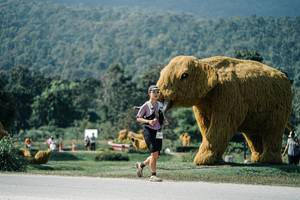 BIB: 
                            <button type="button" onclick="openModal(25923253)" class="btn btn-primary btn-sm float-right btn-popup" data-toggle="modal" data-target=".modal-high-quality">
                        <i class="fas fa-shopping-cart"></i> Add to Cart
                    </button>
                                            <button type="button" onclick="isThisMe(25923253, true)" class="btn btn-success btn-sm float-right btn-popup btn-isme hidden" data-toggle="tooltip" data-placement="bottom" title="นี่คือรูปของคุณใช่ไหม คลิกที่นี่เพื่อเอาเข้าอัลบั้ม">
                        <i class="fas fa-plus"></i> Add to album
                    </button>
                    <button type="button" onclick="isThisMe(25923253, false)" class="btn btn-warning btn-sm float-right btn-popup btn-isnotme hidden">
                        <i class="fas fa-ban"></i> Remove from album
                    </button>