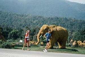 BIB: 
                            <button type="button" onclick="openModal(25887816)" class="btn btn-primary btn-sm float-right btn-popup" data-toggle="modal" data-target=".modal-high-quality">
                        <i class="fas fa-shopping-cart"></i> Add to Cart
                    </button>
                                            <button type="button" onclick="isThisMe(25887816, true)" class="btn btn-success btn-sm float-right btn-popup btn-isme hidden" data-toggle="tooltip" data-placement="bottom" title="นี่คือรูปของคุณใช่ไหม คลิกที่นี่เพื่อเอาเข้าอัลบั้ม">
                        <i class="fas fa-plus"></i> Add to album
                    </button>
                    <button type="button" onclick="isThisMe(25887816, false)" class="btn btn-warning btn-sm float-right btn-popup btn-isnotme hidden">
                        <i class="fas fa-ban"></i> Remove from album
                    </button>