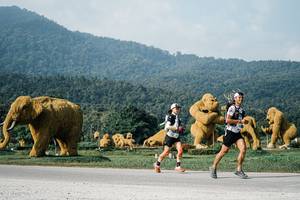 BIB: 
                            <button type="button" onclick="openModal(25870982)" class="btn btn-primary btn-sm float-right btn-popup" data-toggle="modal" data-target=".modal-high-quality">
                        <i class="fas fa-shopping-cart"></i> Add to Cart
                    </button>
                                            <button type="button" onclick="isThisMe(25870982, true)" class="btn btn-success btn-sm float-right btn-popup btn-isme hidden" data-toggle="tooltip" data-placement="bottom" title="นี่คือรูปของคุณใช่ไหม คลิกที่นี่เพื่อเอาเข้าอัลบั้ม">
                        <i class="fas fa-plus"></i> Add to album
                    </button>
                    <button type="button" onclick="isThisMe(25870982, false)" class="btn btn-warning btn-sm float-right btn-popup btn-isnotme hidden">
                        <i class="fas fa-ban"></i> Remove from album
                    </button>