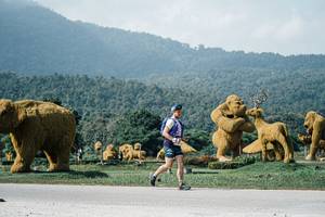 BIB: 
                            <button type="button" onclick="openModal(25906796)" class="btn btn-primary btn-sm float-right btn-popup" data-toggle="modal" data-target=".modal-high-quality">
                        <i class="fas fa-shopping-cart"></i> Add to Cart
                    </button>
                                            <button type="button" onclick="isThisMe(25906796, true)" class="btn btn-success btn-sm float-right btn-popup btn-isme hidden" data-toggle="tooltip" data-placement="bottom" title="นี่คือรูปของคุณใช่ไหม คลิกที่นี่เพื่อเอาเข้าอัลบั้ม">
                        <i class="fas fa-plus"></i> Add to album
                    </button>
                    <button type="button" onclick="isThisMe(25906796, false)" class="btn btn-warning btn-sm float-right btn-popup btn-isnotme hidden">
                        <i class="fas fa-ban"></i> Remove from album
                    </button>