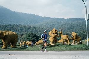 BIB: 
                            <button type="button" onclick="openModal(25892384)" class="btn btn-primary btn-sm float-right btn-popup" data-toggle="modal" data-target=".modal-high-quality">
                        <i class="fas fa-shopping-cart"></i> Add to Cart
                    </button>
                                            <button type="button" onclick="isThisMe(25892384, true)" class="btn btn-success btn-sm float-right btn-popup btn-isme hidden" data-toggle="tooltip" data-placement="bottom" title="นี่คือรูปของคุณใช่ไหม คลิกที่นี่เพื่อเอาเข้าอัลบั้ม">
                        <i class="fas fa-plus"></i> Add to album
                    </button>
                    <button type="button" onclick="isThisMe(25892384, false)" class="btn btn-warning btn-sm float-right btn-popup btn-isnotme hidden">
                        <i class="fas fa-ban"></i> Remove from album
                    </button>