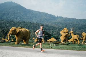 BIB: 
                            <button type="button" onclick="openModal(25870850)" class="btn btn-primary btn-sm float-right btn-popup" data-toggle="modal" data-target=".modal-high-quality">
                        <i class="fas fa-shopping-cart"></i> Add to Cart
                    </button>
                                            <button type="button" onclick="isThisMe(25870850, true)" class="btn btn-success btn-sm float-right btn-popup btn-isme hidden" data-toggle="tooltip" data-placement="bottom" title="นี่คือรูปของคุณใช่ไหม คลิกที่นี่เพื่อเอาเข้าอัลบั้ม">
                        <i class="fas fa-plus"></i> Add to album
                    </button>
                    <button type="button" onclick="isThisMe(25870850, false)" class="btn btn-warning btn-sm float-right btn-popup btn-isnotme hidden">
                        <i class="fas fa-ban"></i> Remove from album
                    </button>