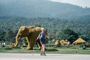 BIB: 
                            <button type="button" onclick="openModal(25929248)" class="btn btn-primary btn-sm float-right btn-popup" data-toggle="modal" data-target=".modal-high-quality">
                        <i class="fas fa-shopping-cart"></i> Add to Cart
                    </button>
                                            <button type="button" onclick="isThisMe(25929248, true)" class="btn btn-success btn-sm float-right btn-popup btn-isme hidden" data-toggle="tooltip" data-placement="bottom" title="นี่คือรูปของคุณใช่ไหม คลิกที่นี่เพื่อเอาเข้าอัลบั้ม">
                        <i class="fas fa-plus"></i> Add to album
                    </button>
                    <button type="button" onclick="isThisMe(25929248, false)" class="btn btn-warning btn-sm float-right btn-popup btn-isnotme hidden">
                        <i class="fas fa-ban"></i> Remove from album
                    </button>